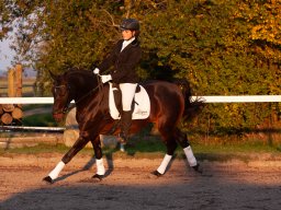IMG_8010_web